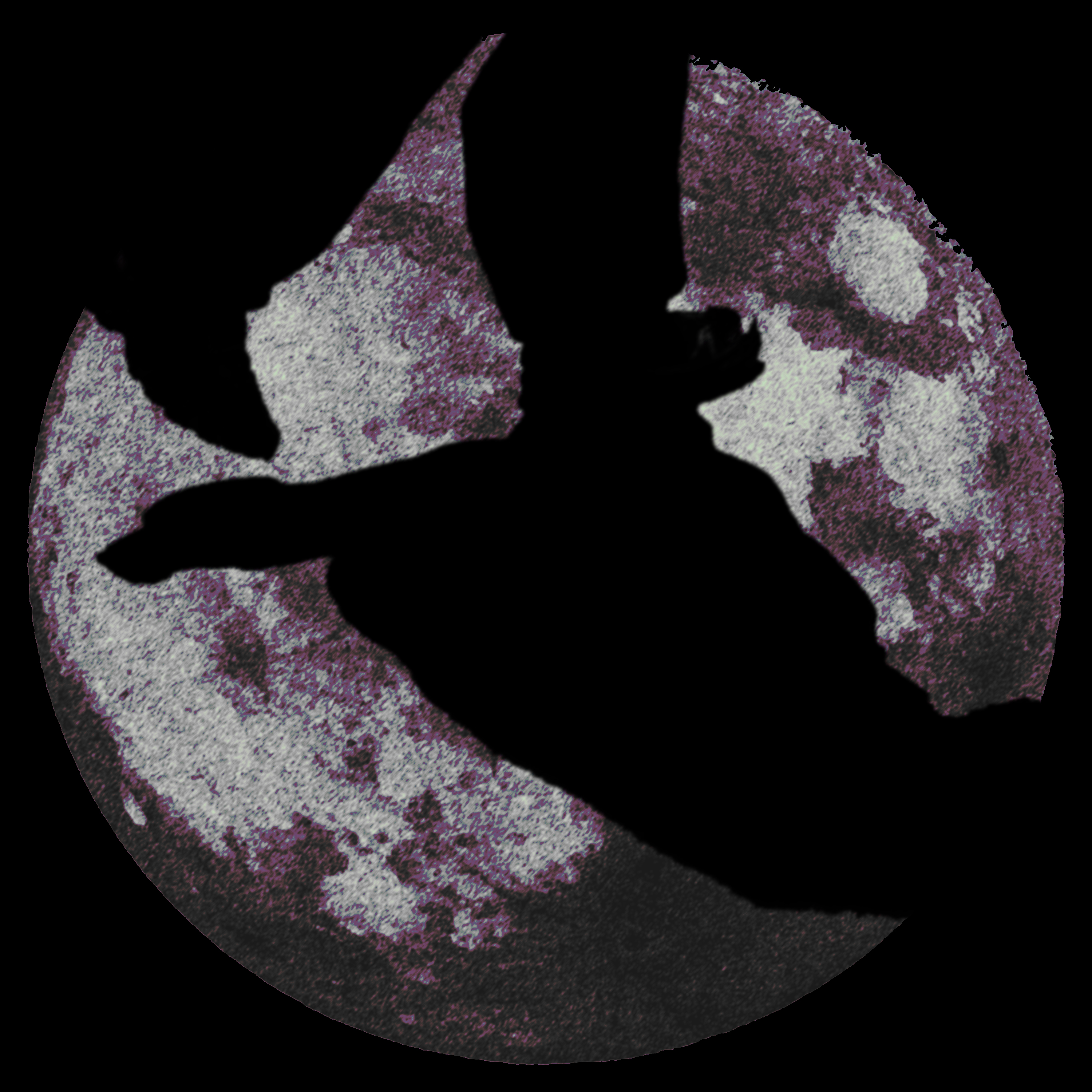 A LÚA POR TESTIGHO — album cover